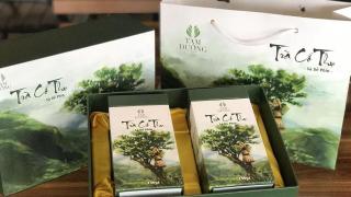 Trà Cổ Thụ Sà Dề Phìn